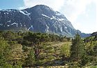 Filnavn=084_ytterfjellet-fra-finnv.jpg
Filstørrelse=133KiB
Dimensjoner=1024x731
Opplastet dato=05 Apr 2007 084_ytterfjellet-fra-finnv.jpg