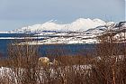 IMG_1078.jpg