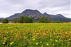 IMG_2002.jpg