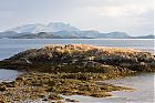 IMG_2528.jpg