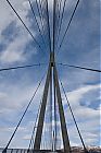 IMG_2749-1.jpg