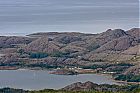 IMG_3158.jpg