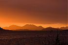 IMG_7271-1.jpg