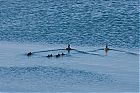 IMG_7554-1.jpg