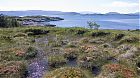 Filnavn=P1000996~0.jpg
Filstørrelse=238KiB
Dimensjoner=1280x720
Opplastet dato=14 Apr 2007 P1000996~0.jpg