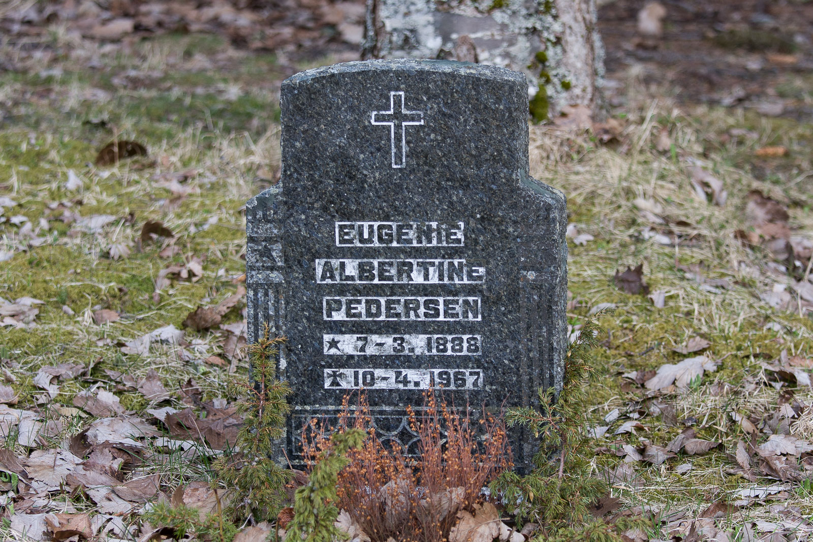 Eugenie Albertine Olsdatter