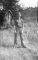 Donald Rodney Almos